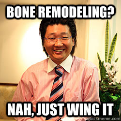 Bone remodeling? Nah, just wing it - Bone remodeling? Nah, just wing it  Chill Chang