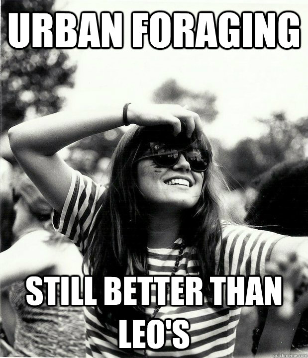 urban foraging still better than leo's  Georgetown Hipster