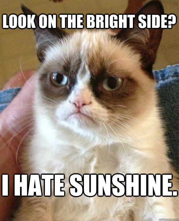 look on the bright side? I hate sunshine.  Grumpy Cat