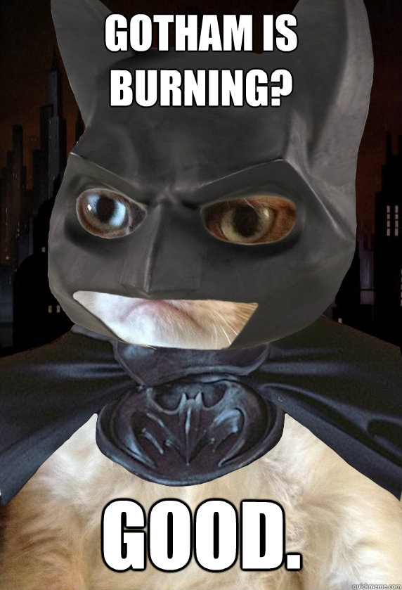 Gotham is burning? GOOD. - Gotham is burning? GOOD.  Grumpy Batcat