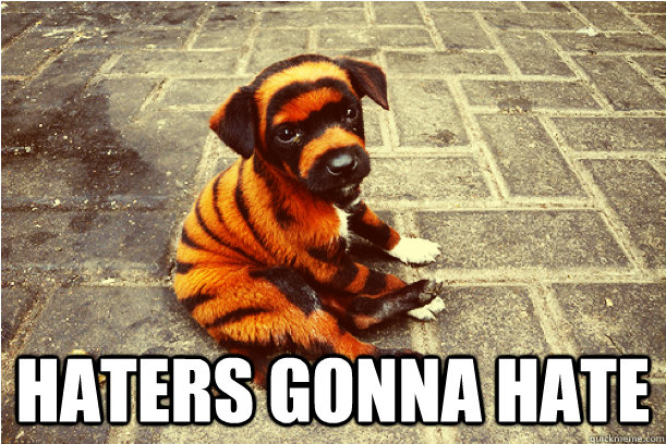  haters gonna hate  tiger dog