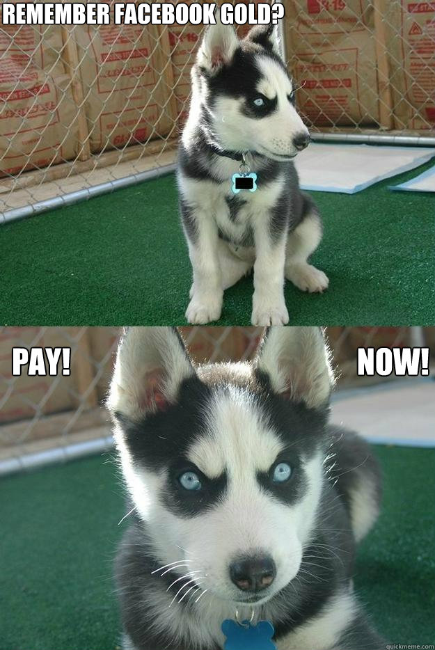 Remember Facebook Gold? Pay!                                                 Now!  Insanity puppy