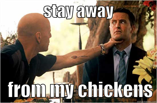               STAY AWAY                  FROM MY CHICKENS Misc