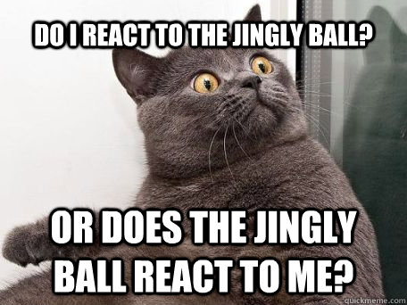 do i react to the jingly ball? or does the jingly ball react to me? - do i react to the jingly ball? or does the jingly ball react to me?  conspiracy cat