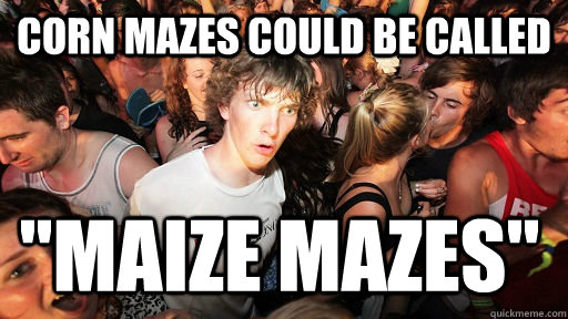 Corn mazes could be called 