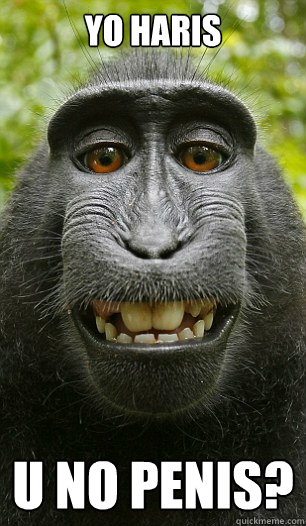 Yo haris U no Penis?  Mindful Macaque