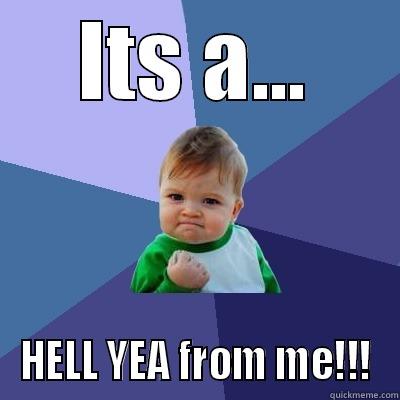 Its a Yes! - ITS A... HELL YEA FROM ME!!! Success Kid