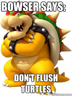 Bowser says: dON'T FLUSH TURTLES  Bowser Says