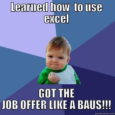 LEARNED HOW  TO USE EXCEL GOT THE JOB OFFER LIKE A BAUS!!! Success Kid