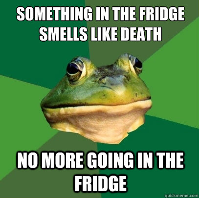 Something in the fridge smells like death No more going in the fridge  Foul Bachelor Frog