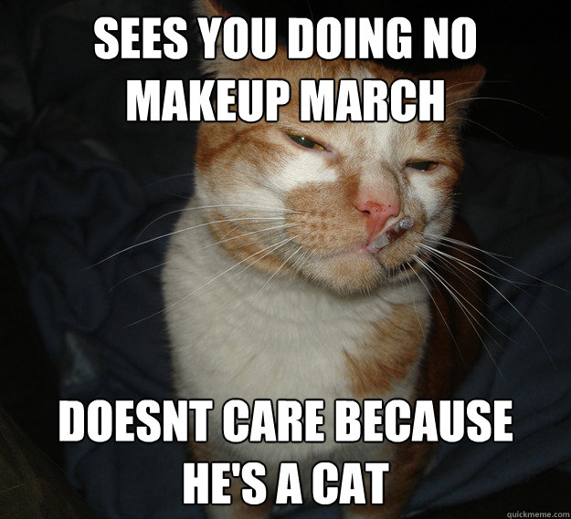 Sees you doing no makeup march doesnt care because he's a cat  Cool Cat Craig