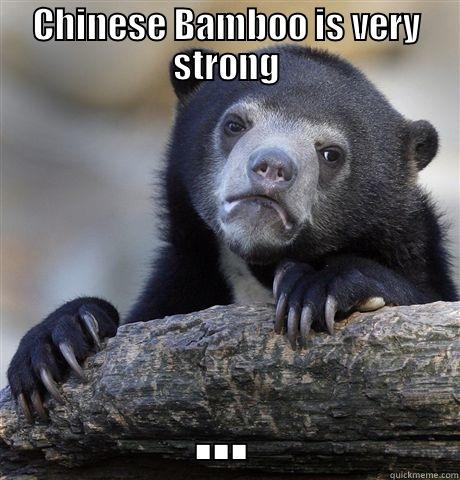 CHINESE BAMBOO IS VERY STRONG ... Confession Bear