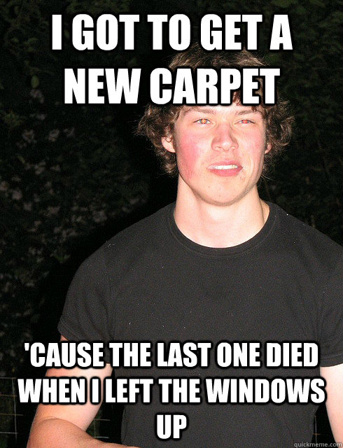 I got to get a new carpet 'cause the last one died when I left the windows up  