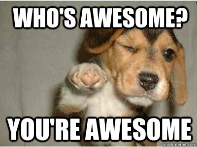 Who's awesome? you're awesome  Puppy Love