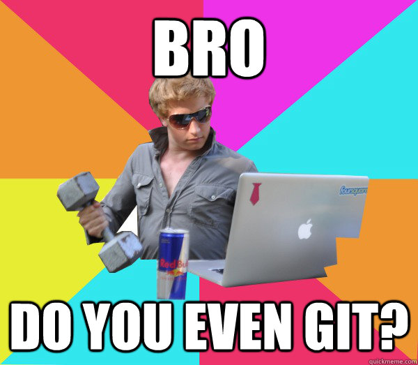 Bro Do you even git?  Brogrammer