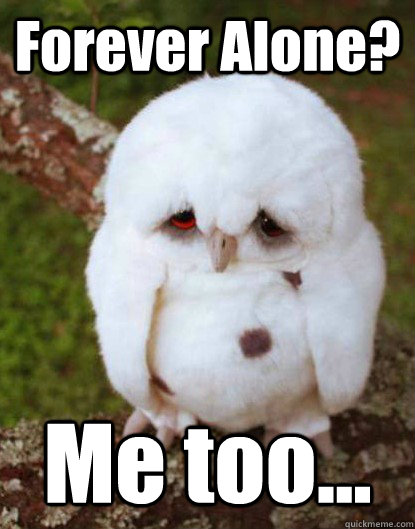 Forever Alone? Me too...  Depressed Baby Owl