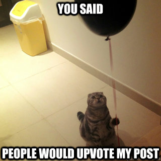 You said people would upvote my post  Sad Birthday Cat