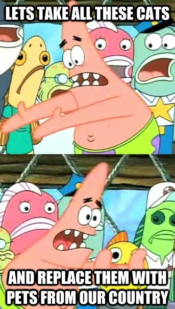 Lets take all these cats and replace them with pets from our country  Push it somewhere else Patrick