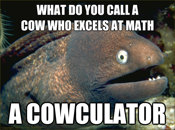 what do you call a 
cow who excels at math a cowculator - what do you call a 
cow who excels at math a cowculator  Bad Joke Eel