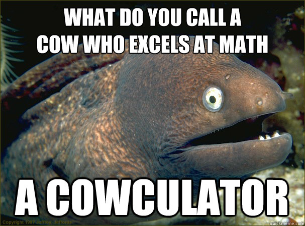 what do you call a 
cow who excels at math a cowculator  Bad Joke Eel