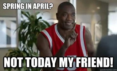 Spring in April? Not today my friend!  Dikembe Mutombo