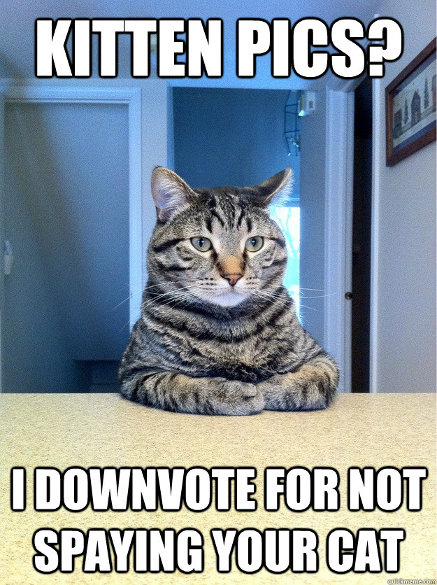 Kitten pics? I downvote for not spaying your cat  Chris Hansen Cat