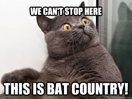 We can't stop here This is bat country!  conspiracy cat
