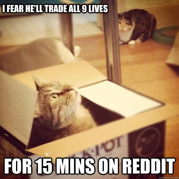 I fear he'll trade all 9 lives for 15 mins on reddit  Cats wife