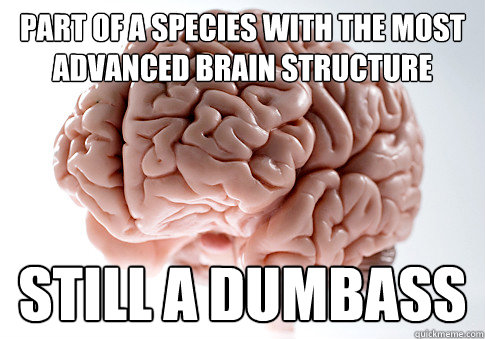 part of a species with the most advanced brain structure still a dumbass  Scumbag Brain