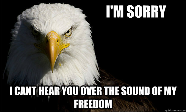 i'm sorry i cant hear you over the sound of my freedom  