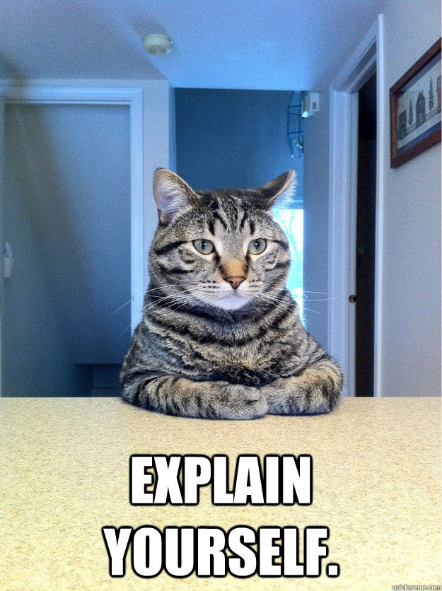  explain yourself.  Chris Hansen Cat