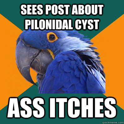 sees post about pilonidal cyst ass itches  Paranoid Parrot