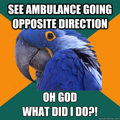 SEE AMBULANCE GOING OPPOSITE DIRECTION OH GOD 
WHAT DID I DO?!  Paranoid Parrot