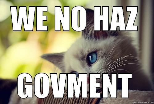 WE NO HAZ GOVMENT First World Problems Cat