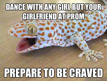 Dance with any girl but your girlfriend at prom Prepare to be craved - Dance with any girl but your girlfriend at prom Prepare to be craved  Relationship Guru Gecko