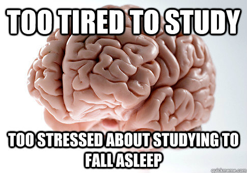 too tired to study too stressed about studying to fall asleep  Scumbag Brain
