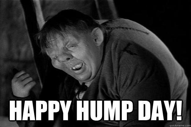  Happy Hump Day!  Happy Hump Day Quasimodo