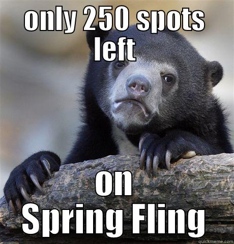 ONLY 250 SPOTS LEFT ON SPRING FLING Confession Bear