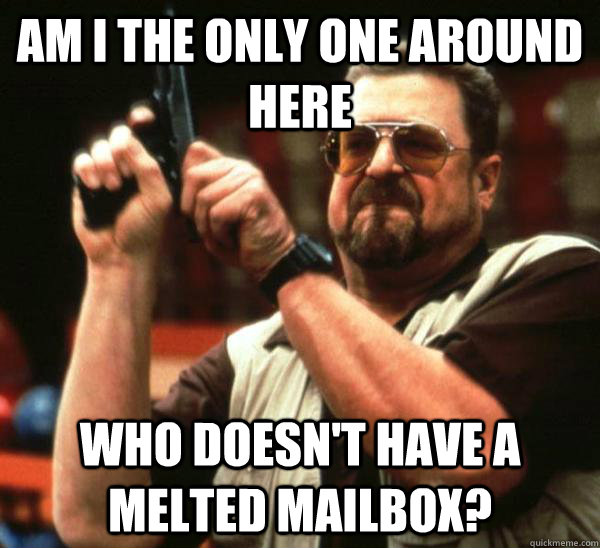 Am i the only one around here who doesn't have a melted mailbox?  Am I the only one backing France