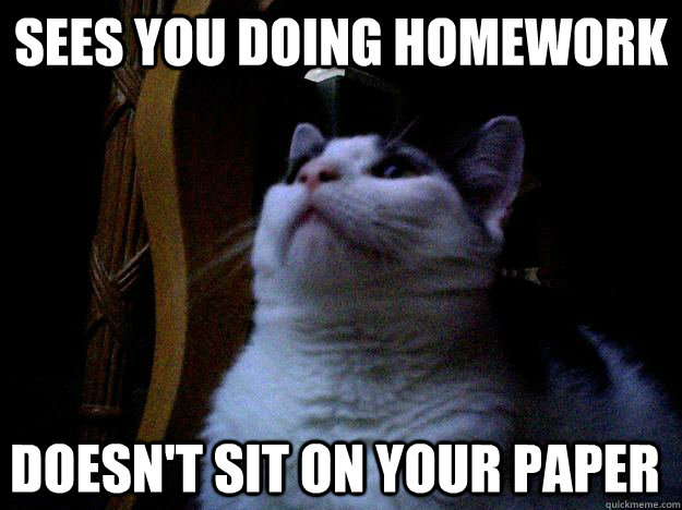 sees you doing homework doesn't sit on your paper  Good Cat Greg