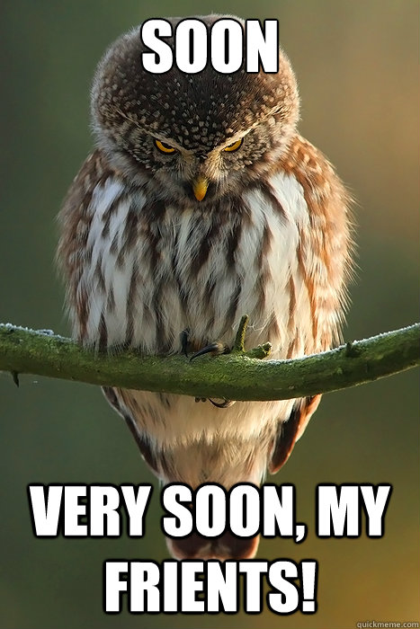 SOON very soon, my frients! - SOON very soon, my frients!  soon owl