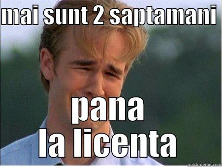 MAI SUNT 2 SAPTAMANI  PANA LA LICENTA 1990s Problems