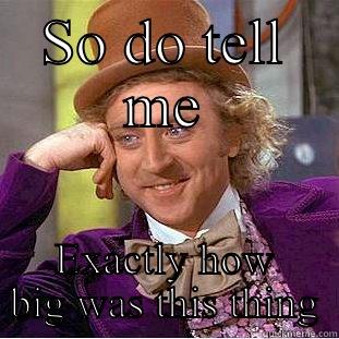 SO DO TELL ME EXACTLY HOW BIG WAS THIS THING Condescending Wonka