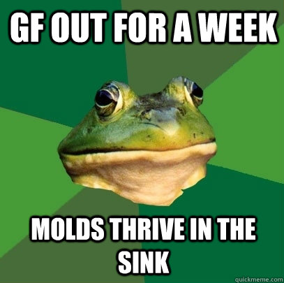 gf out for a week molds thrive in the sink  Foul Bachelor Frog