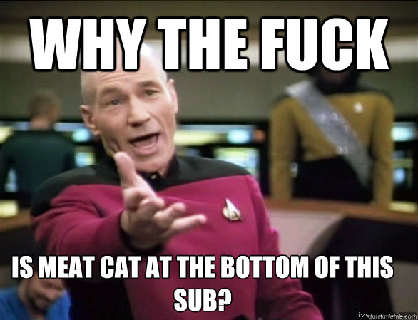 why the fuck is meat cat at the bottom of this sub?  Annoyed Picard HD