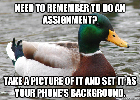 Need to remember to do an assignment? Take a picture of it and set it as your phone's background. - Need to remember to do an assignment? Take a picture of it and set it as your phone's background.  Actual Advice Mallard