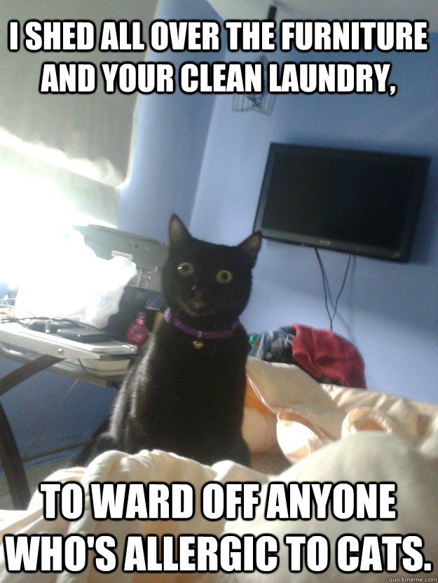 i shed all over the furniture and your clean laundry, to ward off anyone who's allergic to cats.  overly attached cat