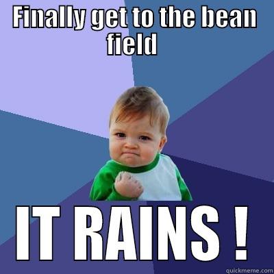 FINALLY GET TO THE BEAN FIELD  IT RAINS ! Success Kid