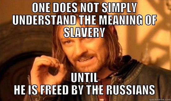 ONE DOES NOT SIMPLY UNDERSTAND THE MEANING OF SLAVERY UNTIL HE IS FREED BY THE RUSSIANS Boromir