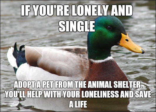 If you're lonely and single Adopt a pet from the animal shelter. You'll help with your loneliness and save a life  Actual Advice Mallard